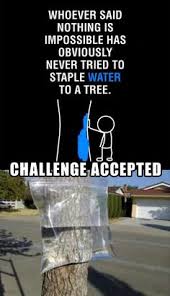 Challenge Accepted on Pinterest | Phlebotomy Humor, Phlebotomy and ... via Relatably.com