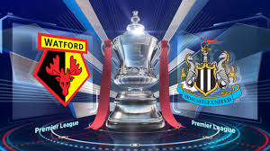 Image result for Watford v Newcastle logo