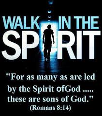  Led by the Spirit, Not by a Fleece By Pastor Andre Butler Images?q=tbn:ANd9GcQv8ZJ1lef7iMvZxVP7gNnmRdDgiWtuRclHkxcS35aS5scKGaKgtg