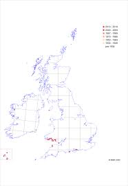 Matthiola sinuata | Online Atlas of the British and Irish Flora
