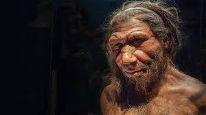 Africans carry surprising amount of Neanderthal DNA | Science | AAAS