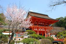 「八坂神社　桜」の画像検索結果