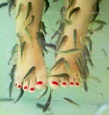 Image result for fish pedicure