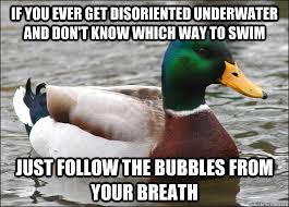 If you ever get disoriented underwater and don&#39;t know which way to ... via Relatably.com