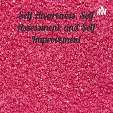 Self Awareness, Self Assessment, and Self Improvement