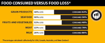 Image result for Global food waste and hunger