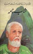 Chapter 58: Pakistan Ka Mustakbil (Shahab Nama by Qudrat Ullah Shahab) - qudrat-ullah-shahab