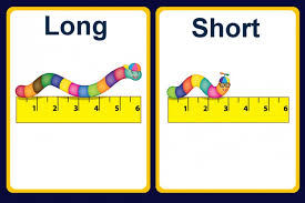 Image result for long and short objects clipart