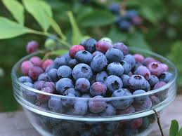 Image result for Blueberries fruit image