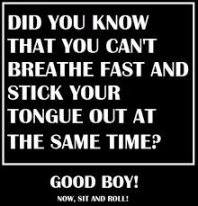 breathe fast and stick your tongue out funny quotes quote lol ... via Relatably.com