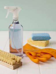 Risultati immagini per detergenti naturali casa