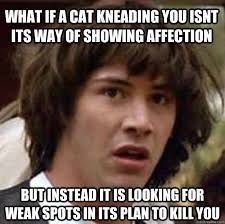What if a cat kneading you isnt its way of showing affection but ... via Relatably.com