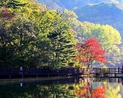 울산 북구 송정박상진호수공원 전경, AI로 생성