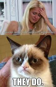 Grumpy cats on Pinterest | Grumpy Cat, Grumpy Cat Meme and Meme via Relatably.com