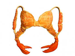 Image result for sexy lobster