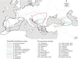 Origin of Highly Polyploid Species: Different Pathways of Auto-and ...