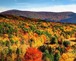Gambar Autumn in Massachusetts
