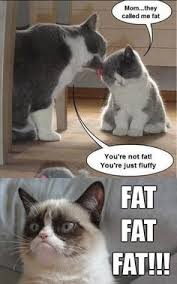 why so grumpy, tard? on Pinterest | Grumpy Cat, Grumpy Cat ... via Relatably.com