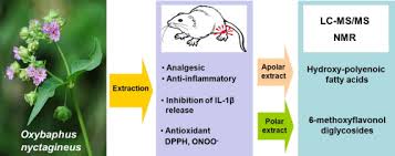Topical analgesic, anti-inflammatory and antioxidant properties of ...