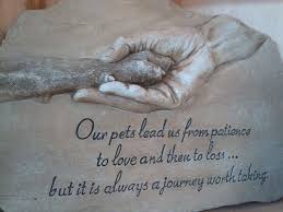 Our pets lead us from patience to love and then to loss...but it ... via Relatably.com