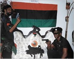 Image result for new black panther party