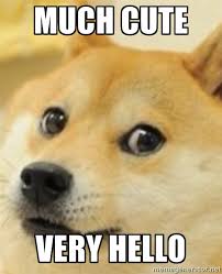 Much Cute Very Hello - shibe doge | Meme Generator via Relatably.com