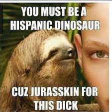 Sloths on Pinterest | Sloth Memes, Creepy Sloth and Funny Sloth via Relatably.com