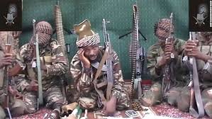 Boko Haram planning to use livestock, cobblers as suicide bombers – FG 