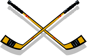 Image result for hockey