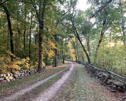 Image of Battle Road Trail, Billerica, Massachusetts