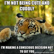 I&#39;m not being cute and cuddly I&#39;m making a conscious decision not ... via Relatably.com