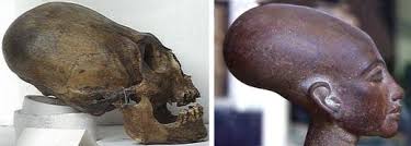 Image result for smithsonian giants