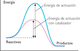 Image result for IMAGENES DE ENERGIA DE REACCION QUIMICA