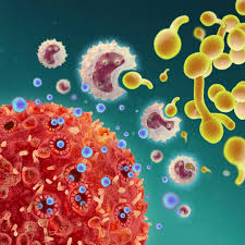 Holes in T Cells: Previously Unknown Function of Immune Cells Revealed