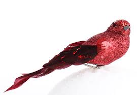 Image result for red sequin bird