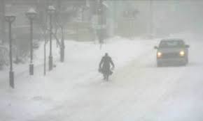 Image result for ann arbor snow storm