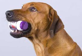 Χορήγηση άδειας κυκλοφορίας κτηνιατρικού φαρμακευτικού προϊόντος Marfloquin...