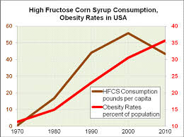 Image result for corn fructose