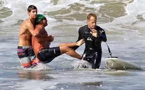 Image result for shark attacks reunion island map