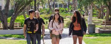Image result for Caltech