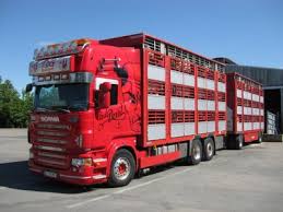 Rsultat de recherche d'images pour "qu'elle est le plus gros camion pour transport chevaux"