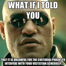 What if i told you That it is unlawful for the custodial parent to ... via Relatably.com