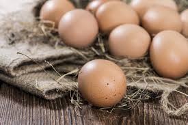 Are Brown Eggs the Only Local Eggs? | The Brown Eggs vs. White ...