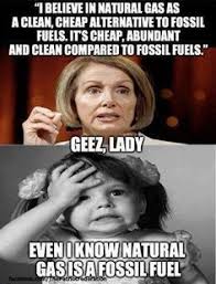 Planet Pelosi on Pinterest | Constitution, Civilization and Making ... via Relatably.com
