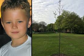 Jamie Cartwright and the memorial sweet chestnut tree in Walsall Arboretum. A memorial tree which was planted for a Walsall schoolboy who twice beat ... - jamie-cartwright-memorial-tree-1-copy