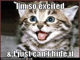 Image result for i'm so excited