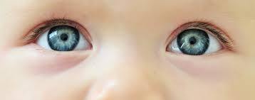 Image result for infant child eyes