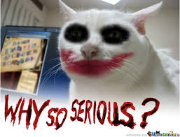 Joker&#39;s Cat Wants To Know Why You Are So Serious by nirvash - Meme ... via Relatably.com