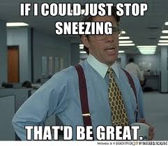 If I could just stop sneezing That&#39;d be great. - Yeah If You Could ... via Relatably.com