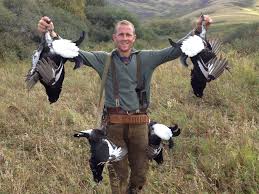 Image result for grouse hunting